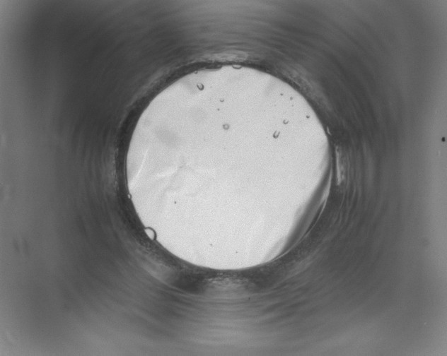 X0000074210300200609221948