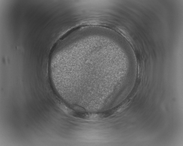 X0000074210301200609221948