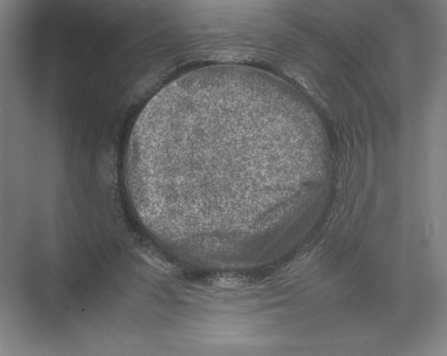 X0000074210303200609221948