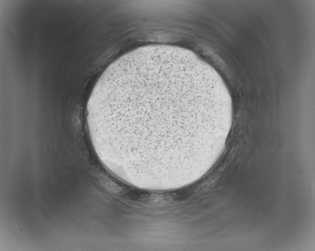 X0000074210305200609221948