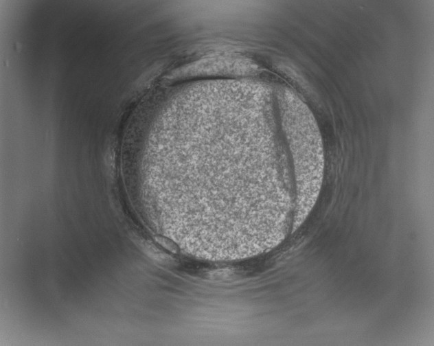 X0000074210309200609221948