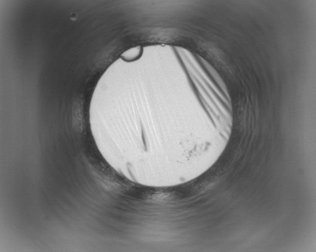 X0000074210312200609221948