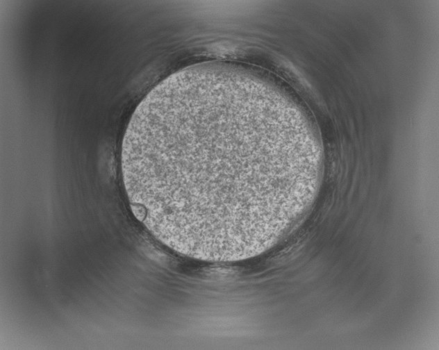 X0000074210313200609221948