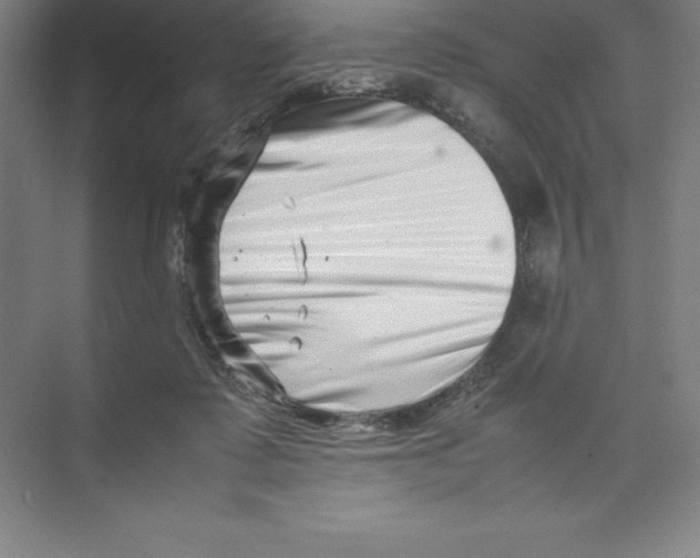 X0000074210315200609221948