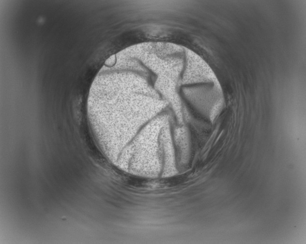 X0000074210319200609221948