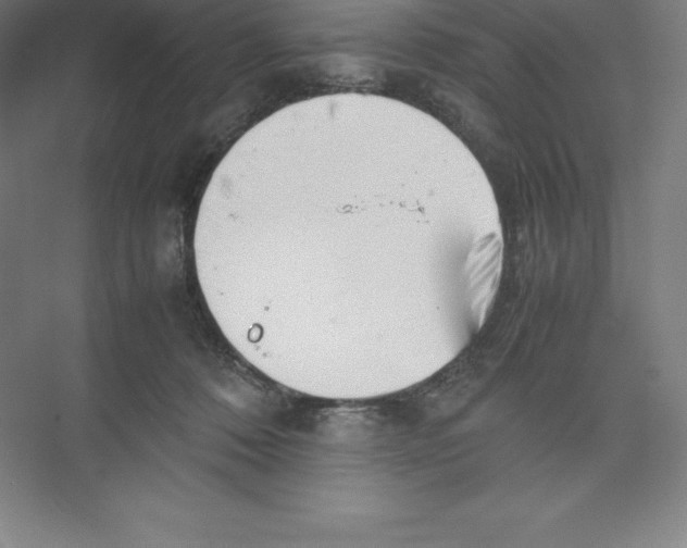 X0000074210320200609221948