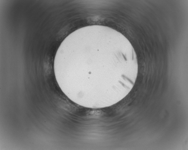 X0000074210324200609221948