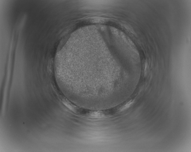 X0000074210325200609221948