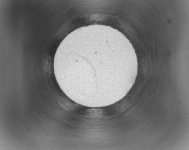 X0000074210328200609221948