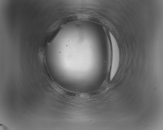 X0000074210329200609221948