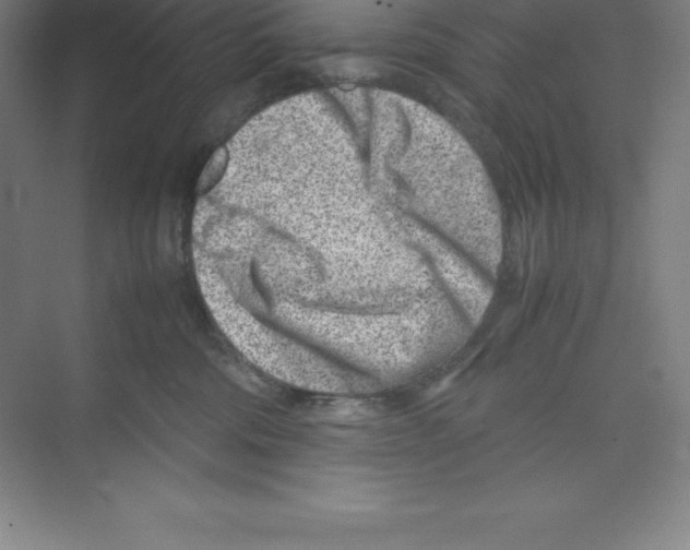 X0000074210330200609221948