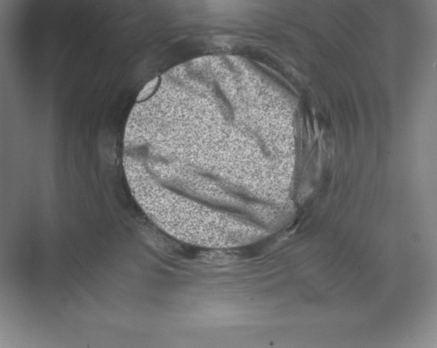 X0000074210331200609221948