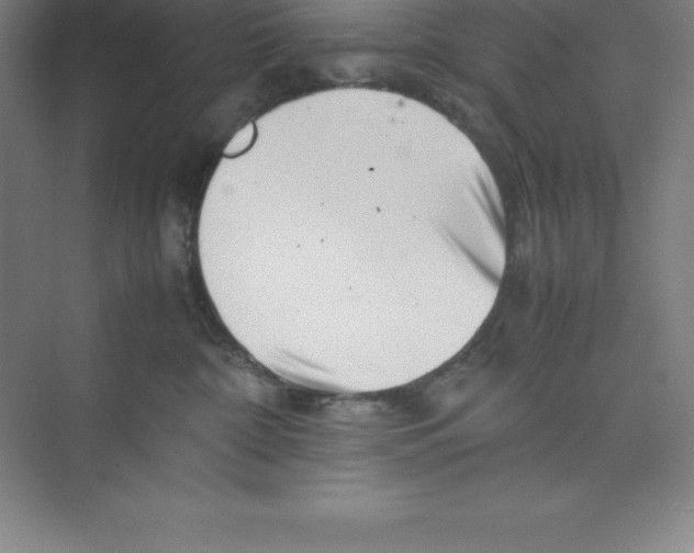 X0000074210332200609221948