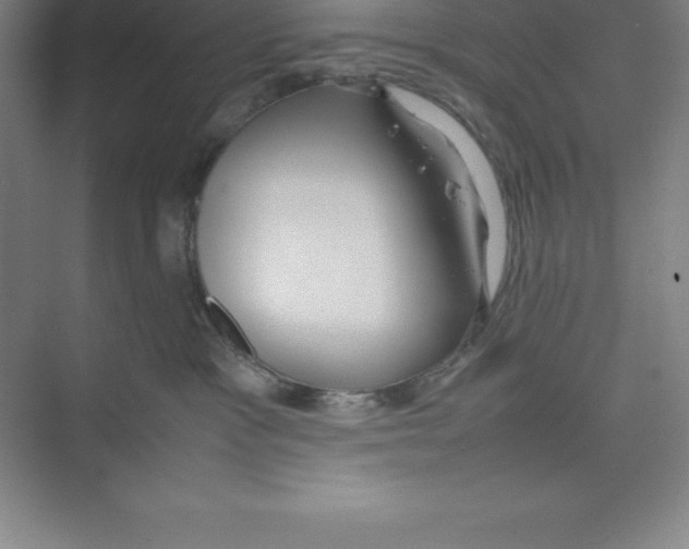 X0000074210333200609221948