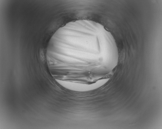 X0000074210335200609221948