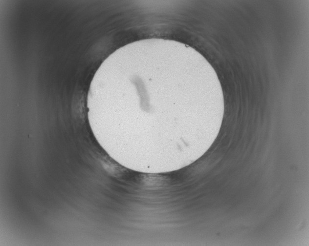 X0000074210336200609221948