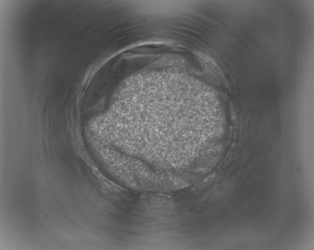 X0000074210337200609221947