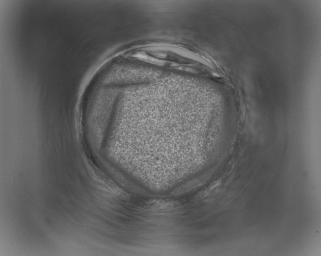 X0000074210343200609221947