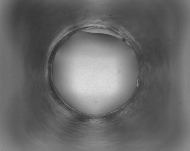 X0000074210344200609221947