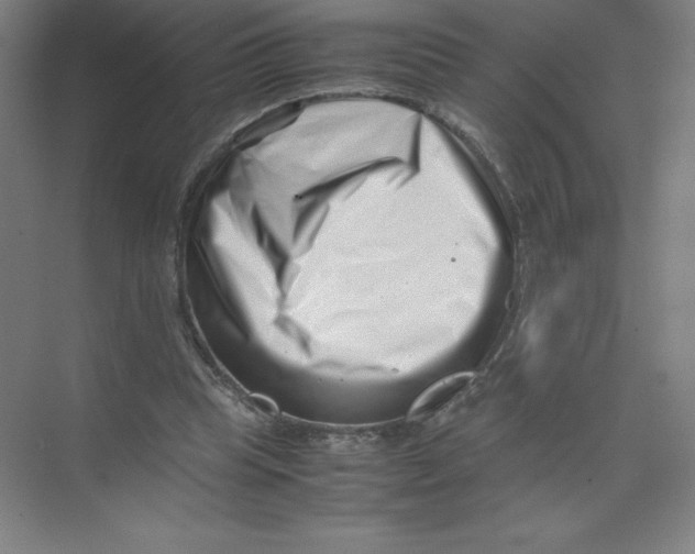 X0000074210345200609221947