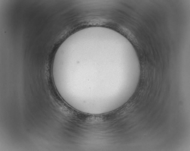 X0000074210354200609221947