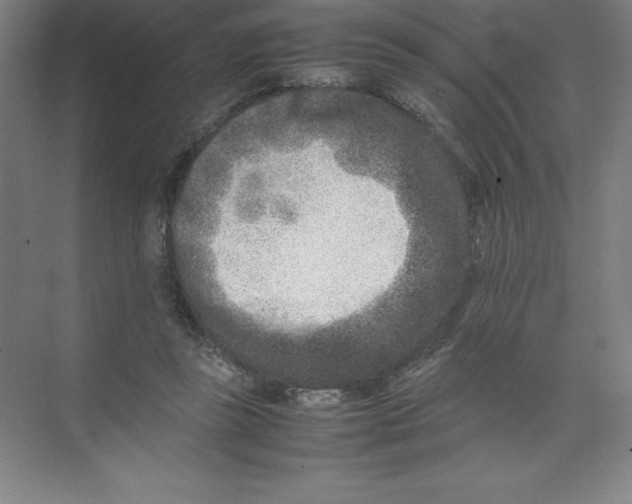 X0000074210355200609221947