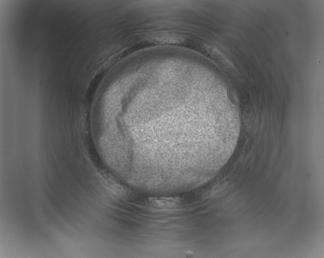 X0000074210359200609221947