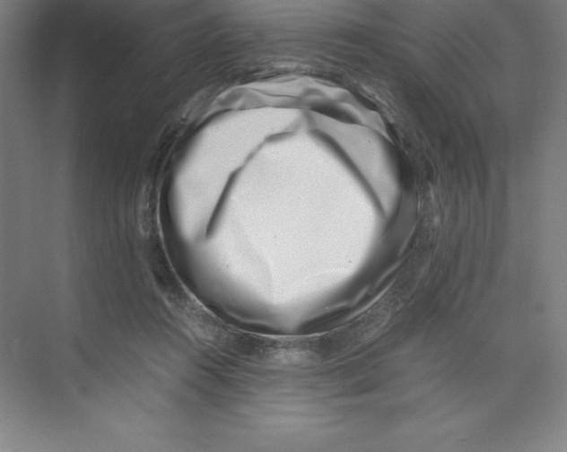 X0000074210360200609221947