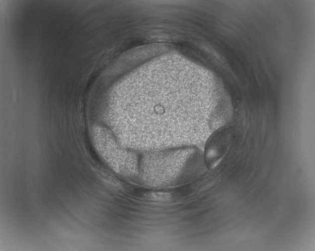 X0000074210361200609221947