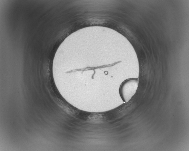 X0000074210362200609221947