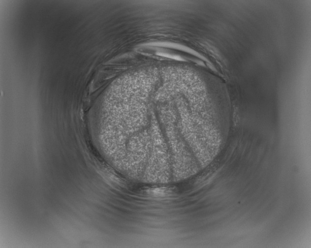 X0000074210365200609221947