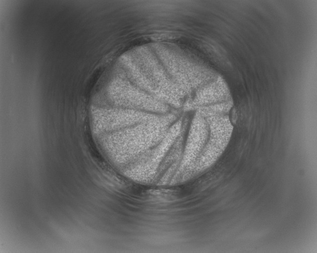 X0000074210367200609221947