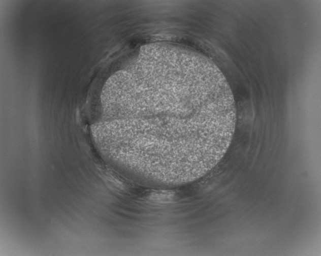 X0000074210369200609221947