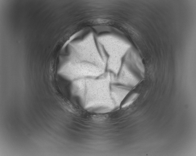 X0000074210373200609221948