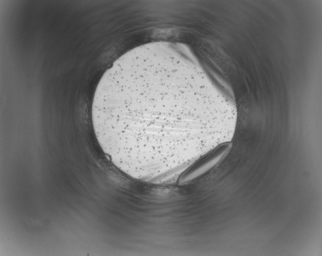 X0000074210375200609221948