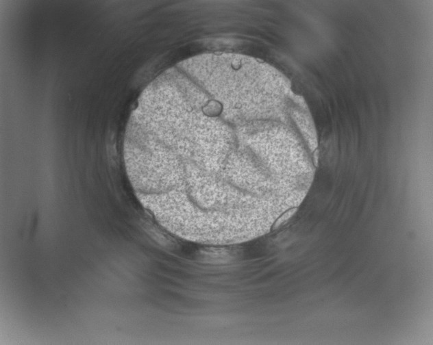 X0000074210381200609221948