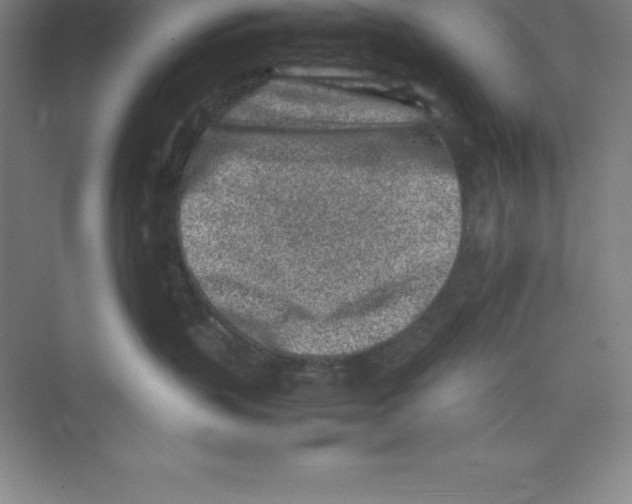 X0000074210383200609221948