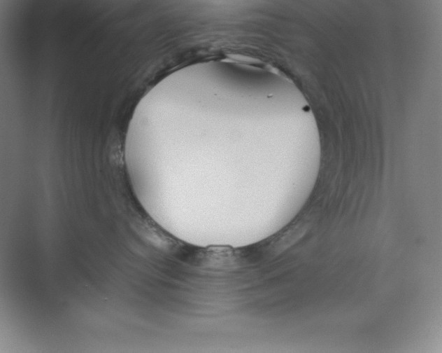 X0000074210384200609221948