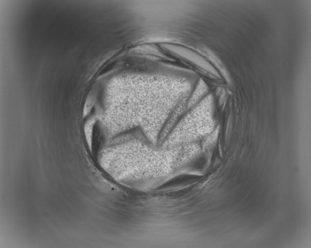 X0000074210385200609221947