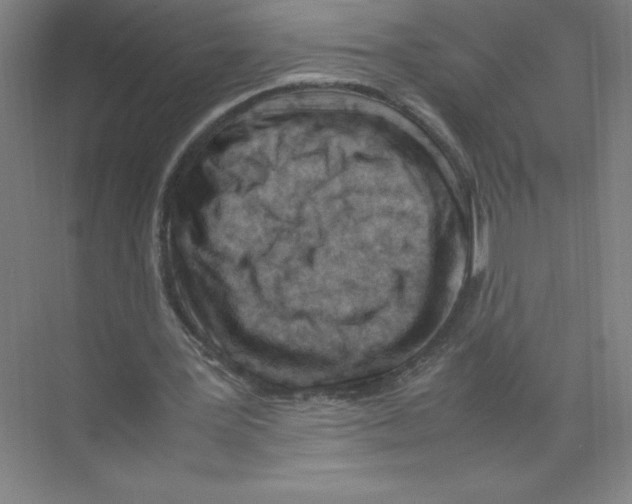 X0000074210387200609221947