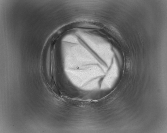 X0000074210388200609221947