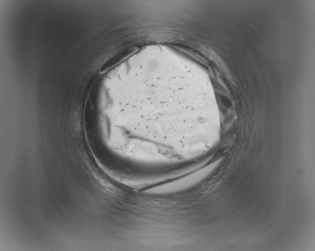 X0000074210393200609221947