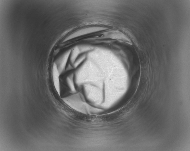 X0000074210395200609221947