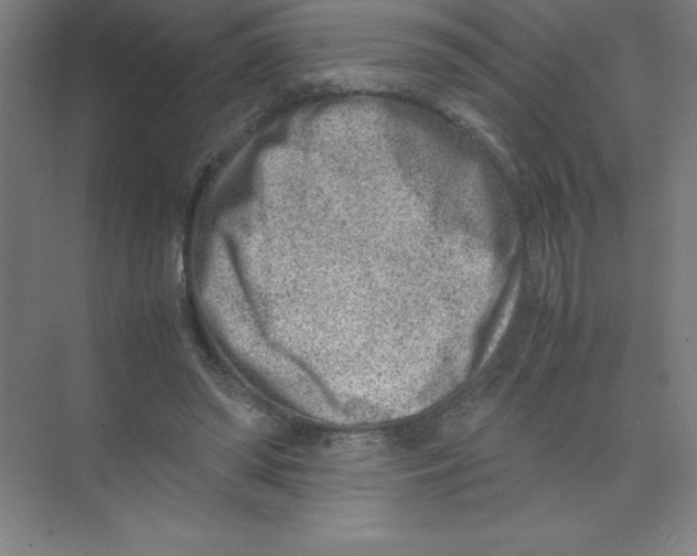 X0000074210398200609221947