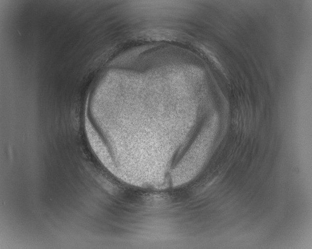 X0000074210402200609221947