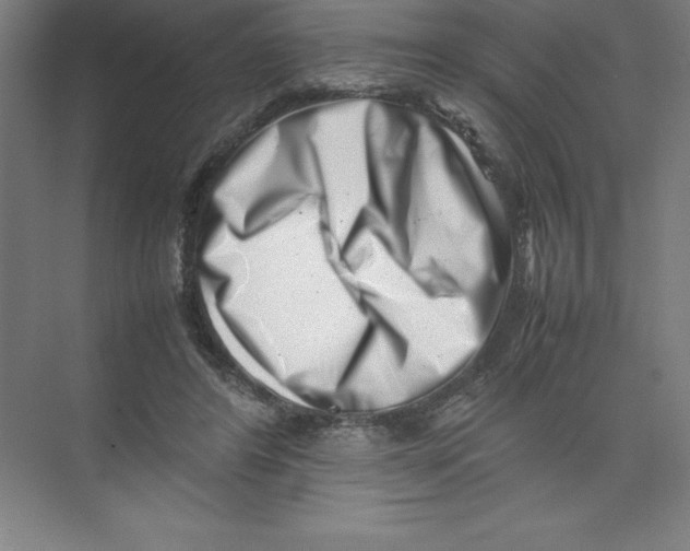 X0000074210404200609221947