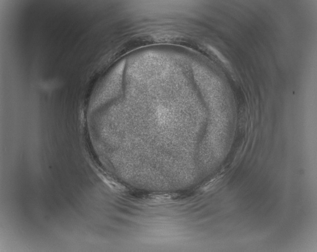 X0000074210405200609221947