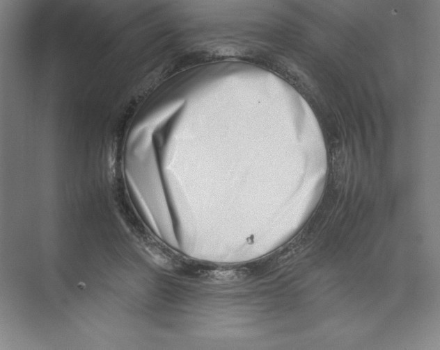 X0000074210406200609221947