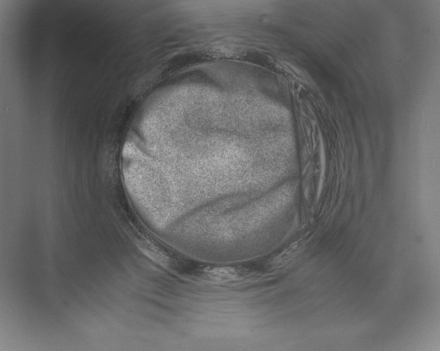 X0000074210409200609221946