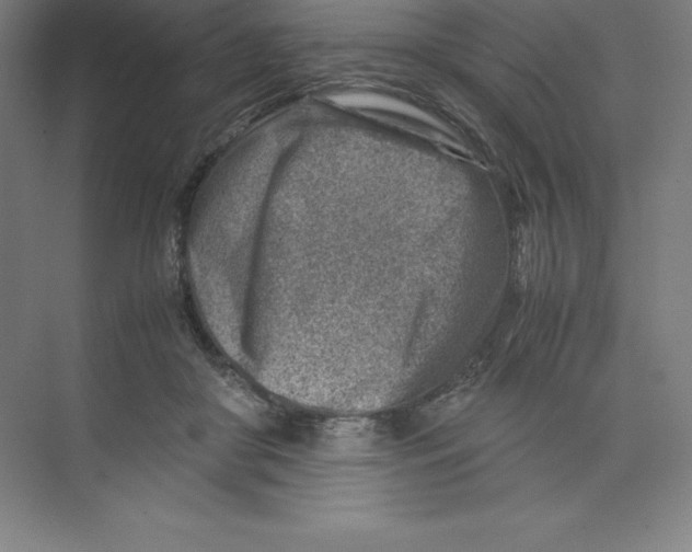 X0000074210410200609221946